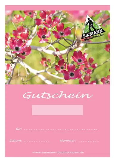 Gutschein 2