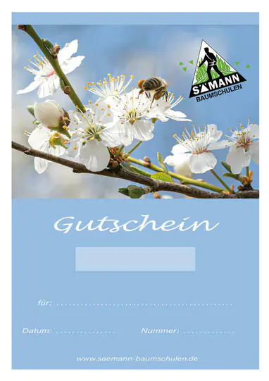 Gutschein simple (DIN lang)