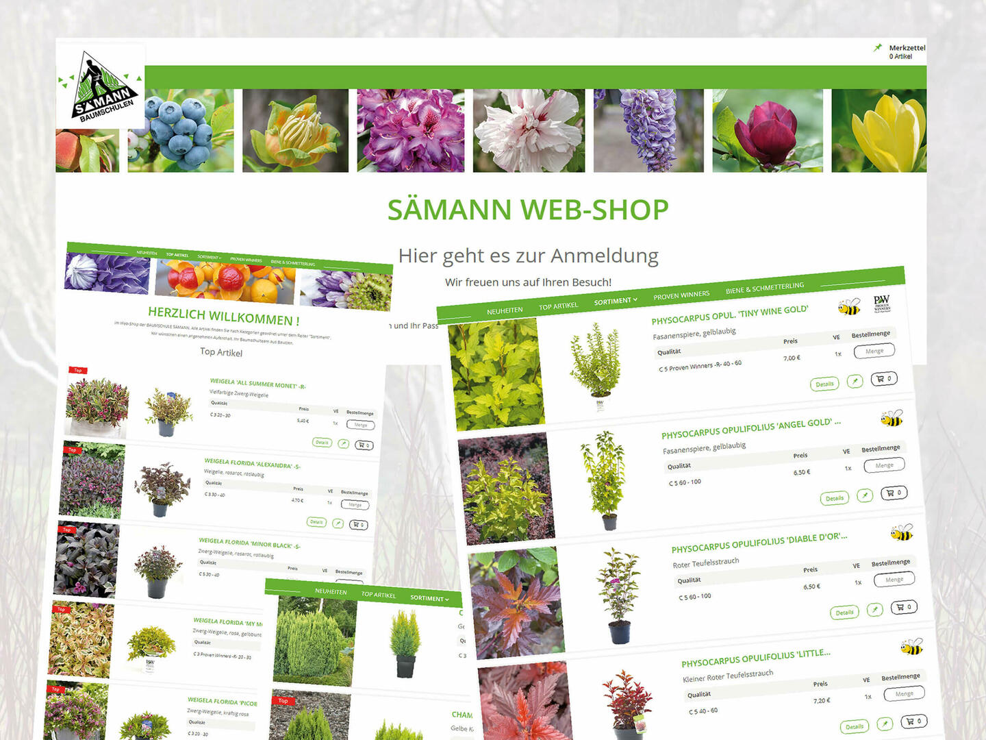 Online-Shop für Großkunden